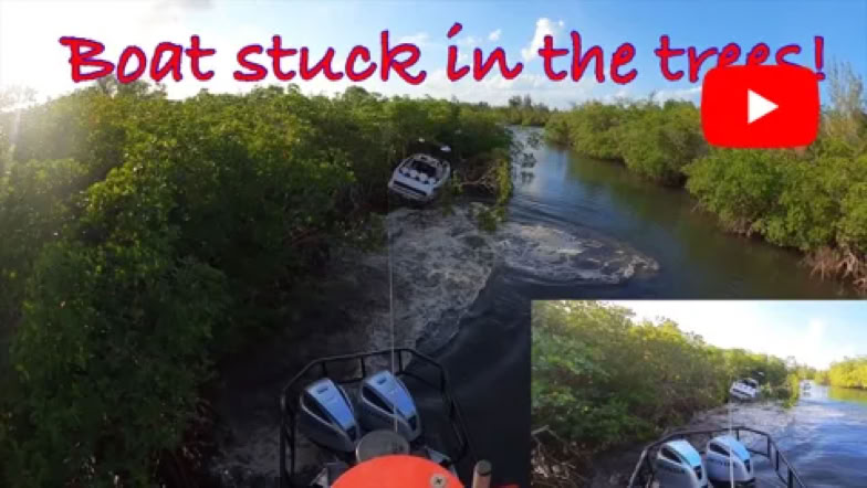 Boat Salvaged Beached in Trees Rescue Removal Sensitive Area